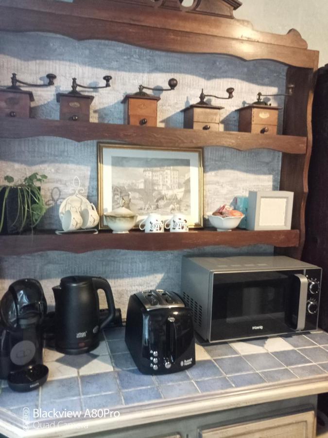 Chambre Bounty, B&B, Cuisine Privee, Lit Queen Size, Terrasse, Parking, Garage Olliergues エクステリア 写真